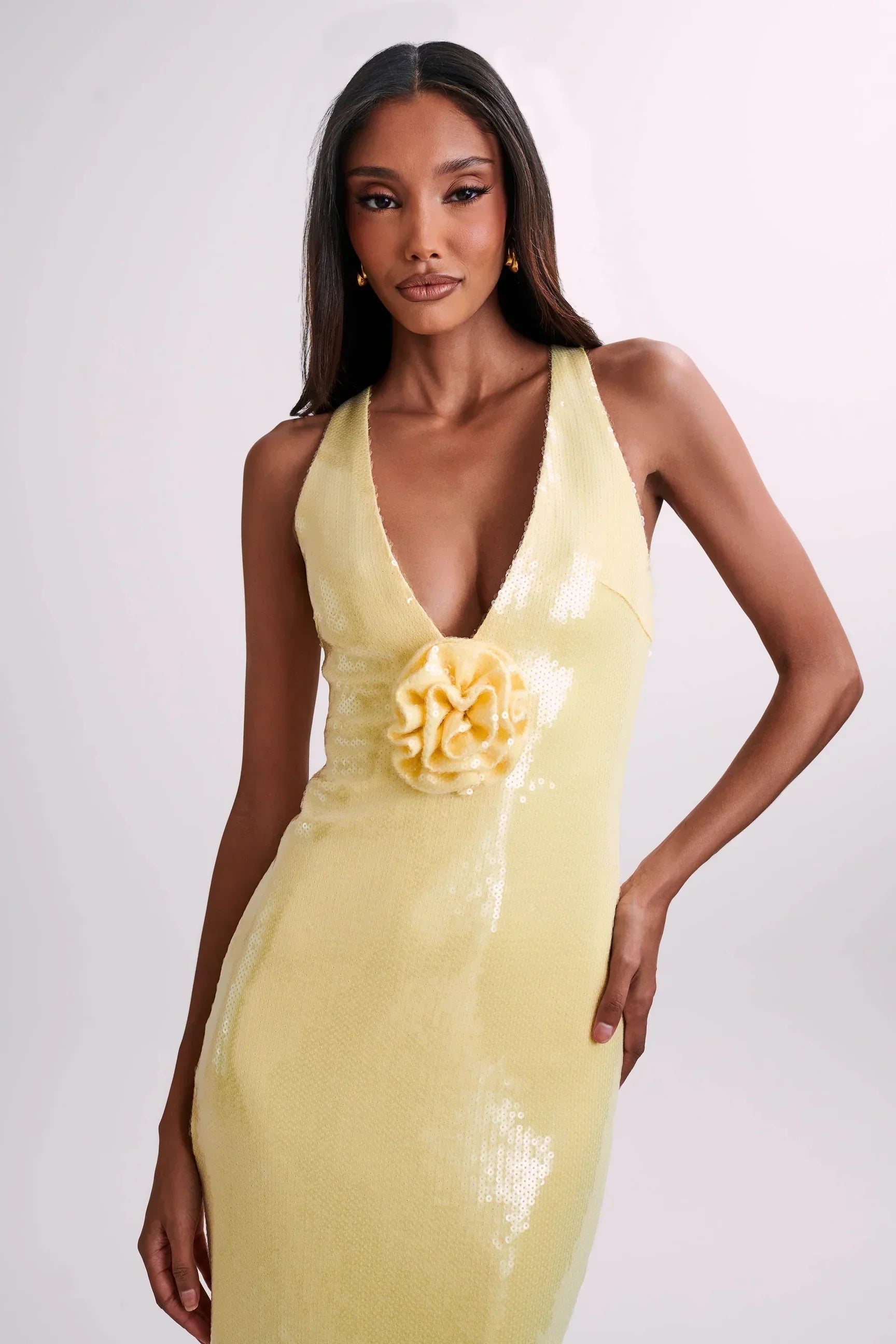 Sequin maxi dress with roses symbol
