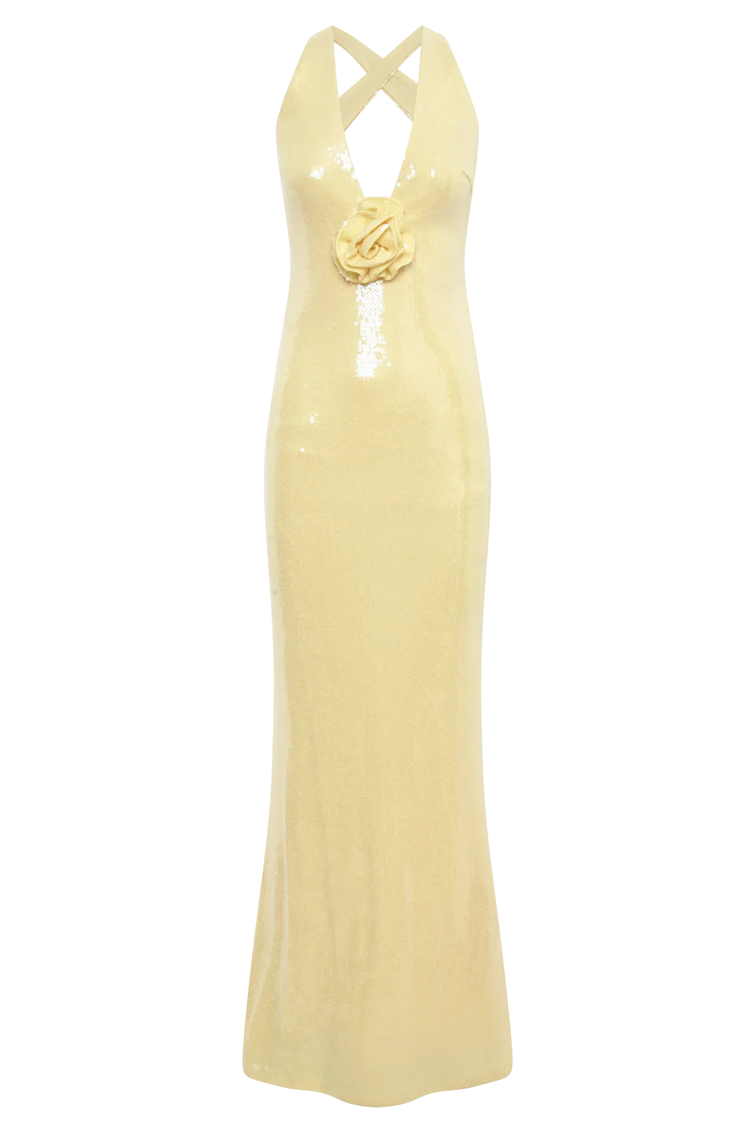 Sequin maxi dress with roses symbol