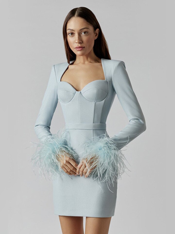 Long sleeve dress with feathers